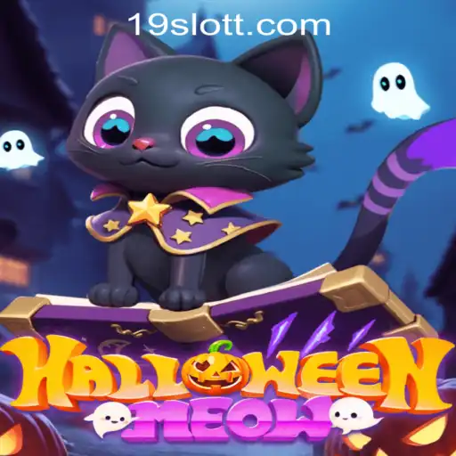 Spooky Fun Awaits in HalloweenMeow: A New Slot Adventure